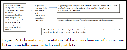nano-platelets2