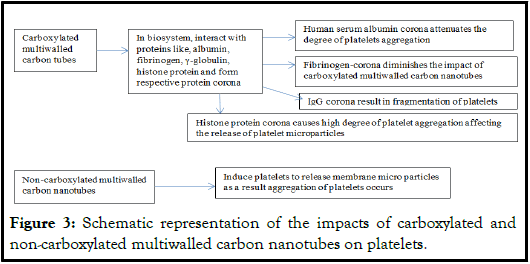 nano-platelets3