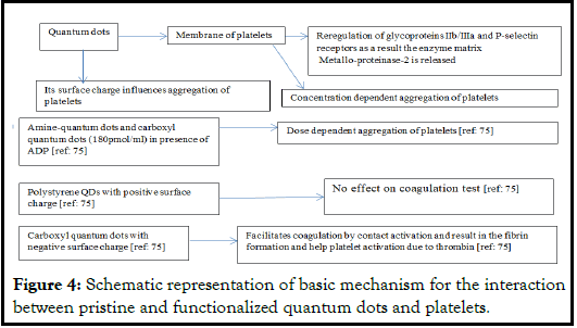 nano-platelets4