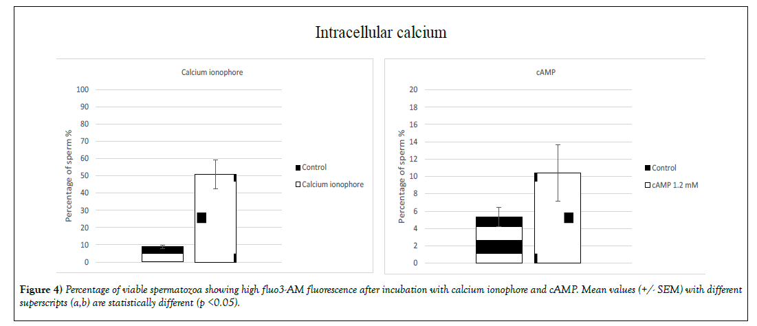 Biol-Endocrinol-incubation