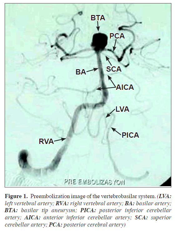 anatomical-variations-system