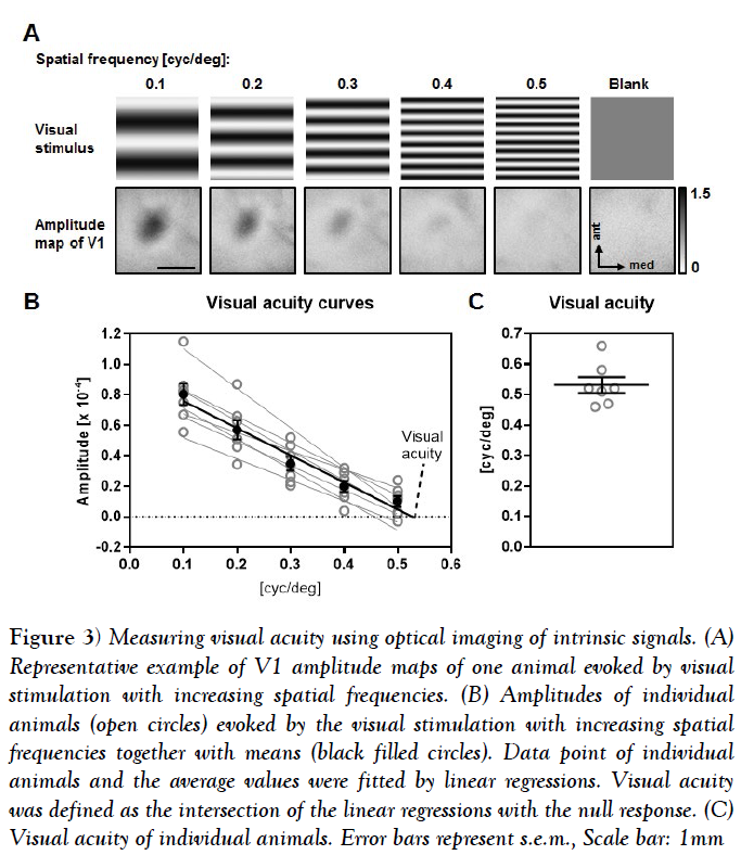 behavioral-neuroscience-intrinsic-signals