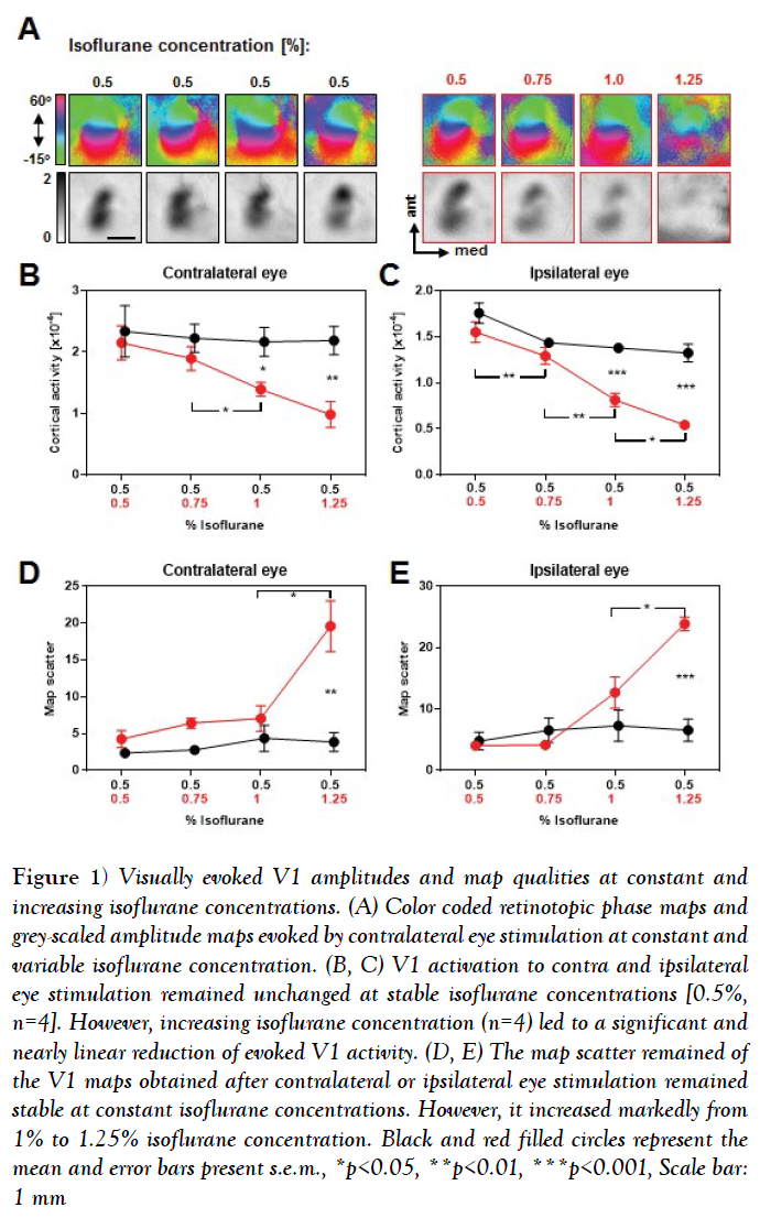 behavioral-neuroscience-isoflurane-concentrations