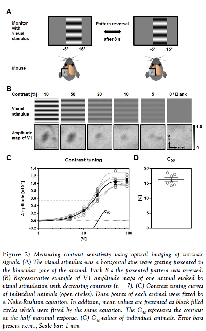 behavioral-neuroscience-naka-rushton