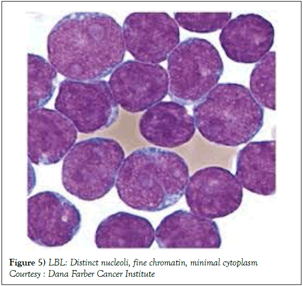 blood-disorders-treatment-nucleoli