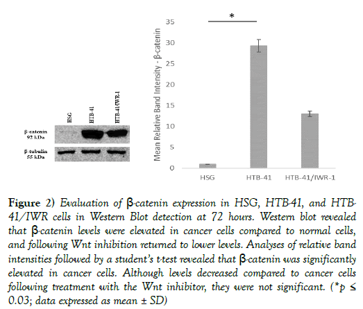 cancer-metastasis-research-cancer-cells