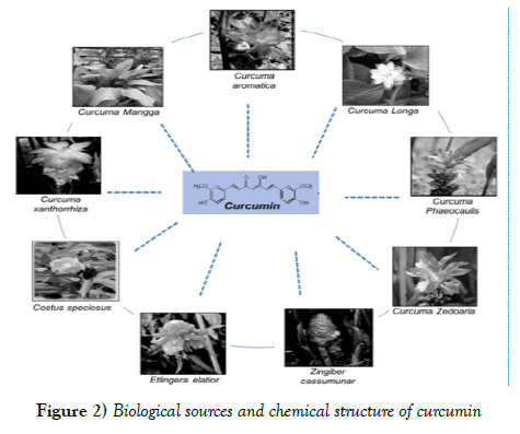 cancer-metastasis-research-chemical-structure