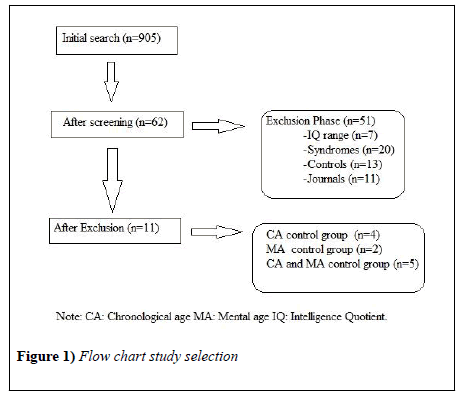 child-psychology-Flow-chart