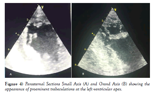 clinical-cardiology-journal-appearance