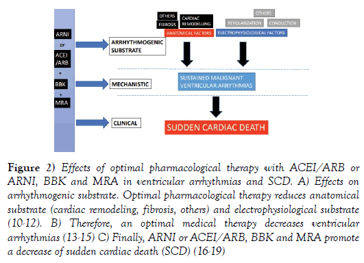 clinical-cardiology-pharmacological-therapy