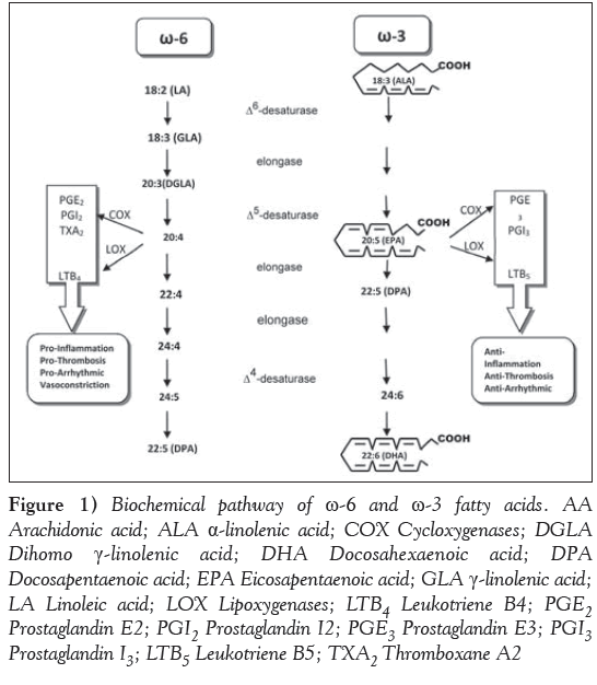 current-research-cardiology-Biochemical-pathway