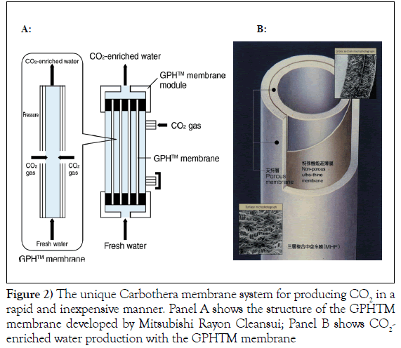 current-research-cardiology-Carbothera-membrane