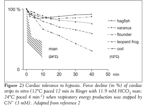 current-research-cardiology-Cardiac-tolerance-hypoxia