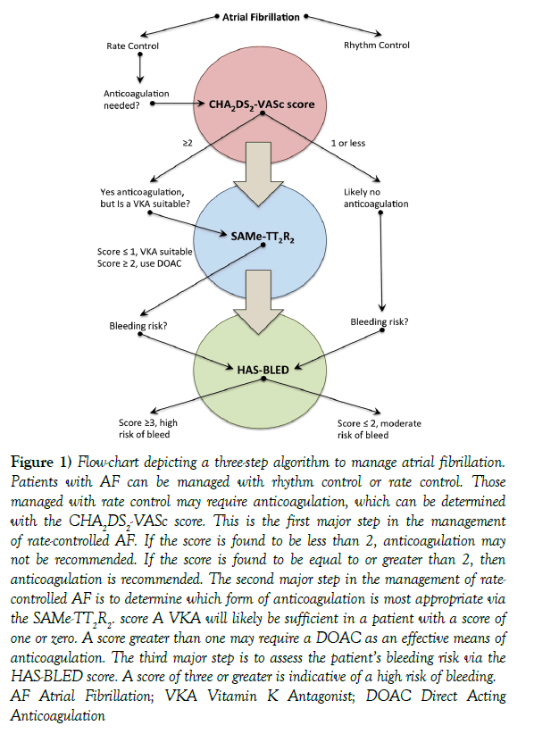 current-research-cardiology-Flow-chart-depicting