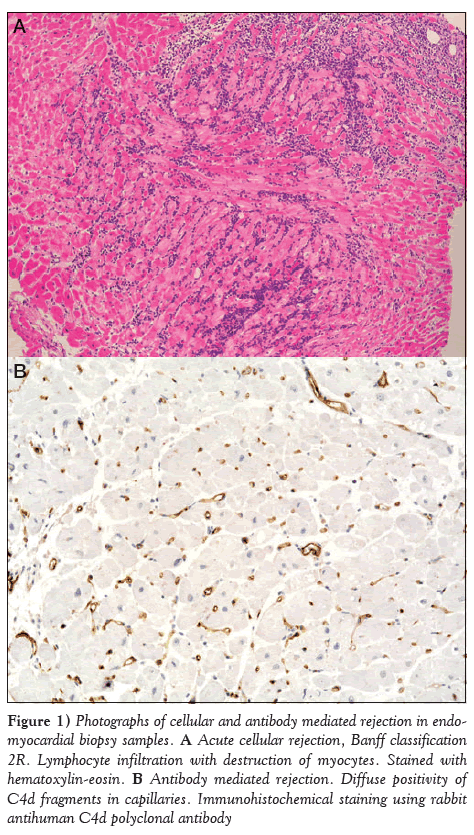 current-research-cardiology-Photographs