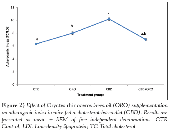 current-research-cardiology-body-Oryctes-rhinoceros