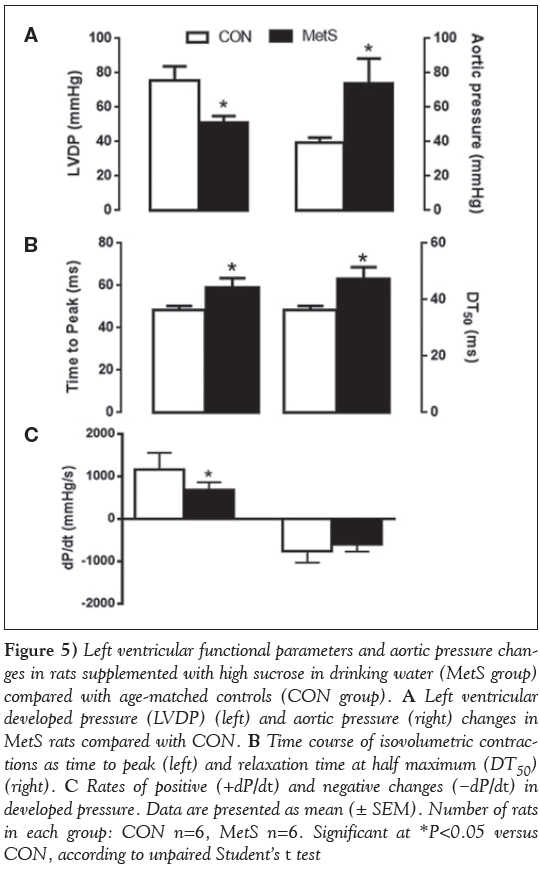 current-research-cardiology-functional-parameters