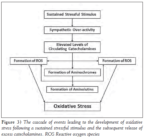 current-research-cardiology-oxidative