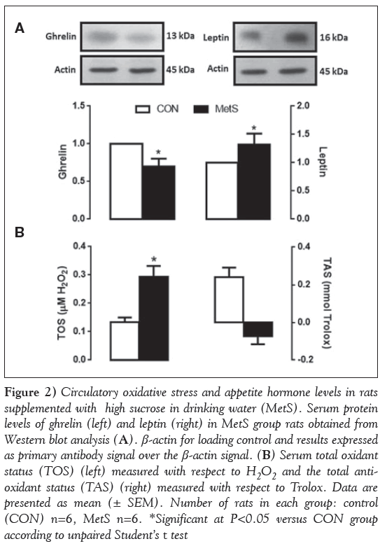 current-research-cardiology-oxidative-stress