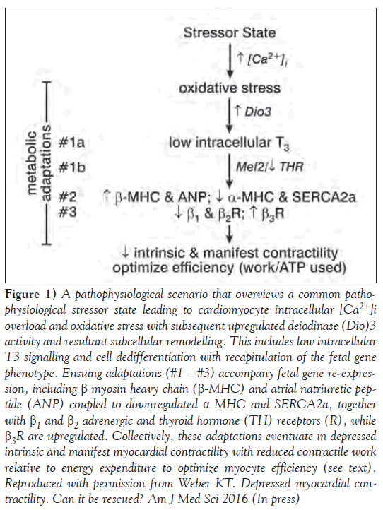 current-research-cardiology-pathophysiological-scenario