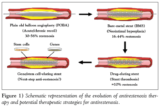 current-research-cardiology-potential-therapeutic