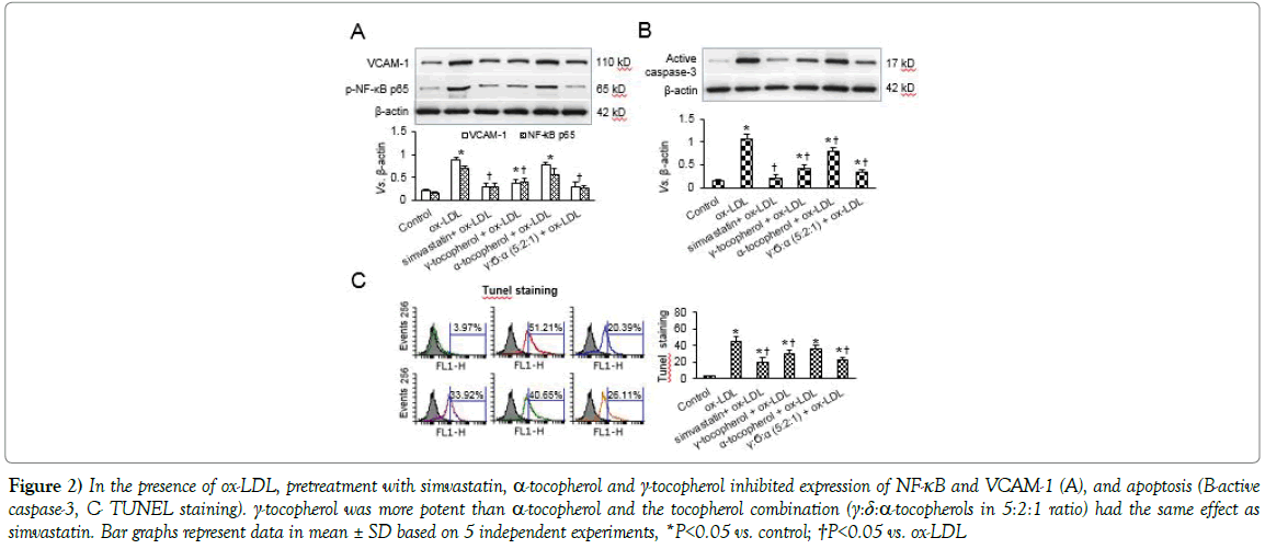 current-research-cardiology-pretreatment-simvastatin