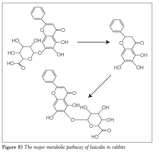 current-research-integrative-medicine-metabolic-pathway