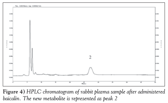 current-research-integrative-medicine-rabbit-plasma-sample