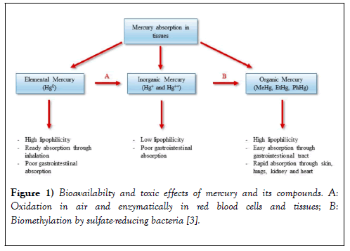 environmental-chemistry-toxicology-biomethylation