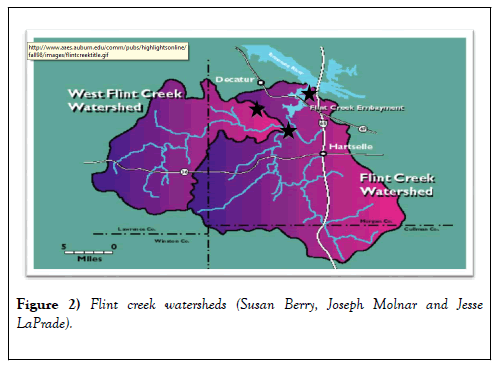 environmental-chemistry-toxicology-creek-watersheds