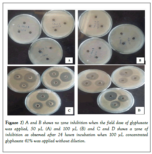 environmental-chemistry-toxicology-glyphosate-dilution