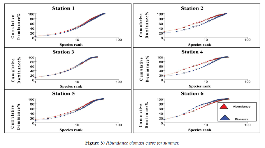 environmental-geology-abundance-biomass-curve