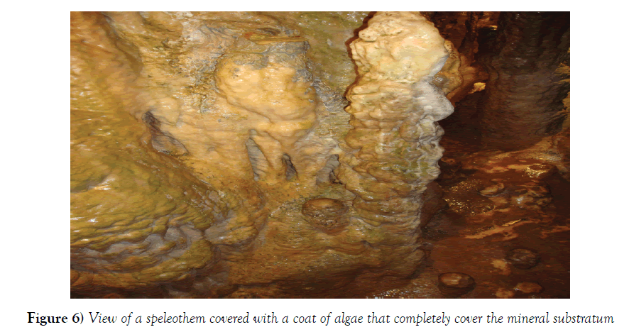 environmental-geology-mineral-substratum