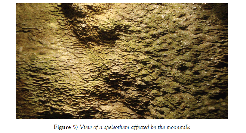 environmental-geology-speleothem-affected