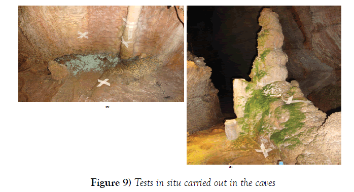 environmental-geology-tests-in-situ