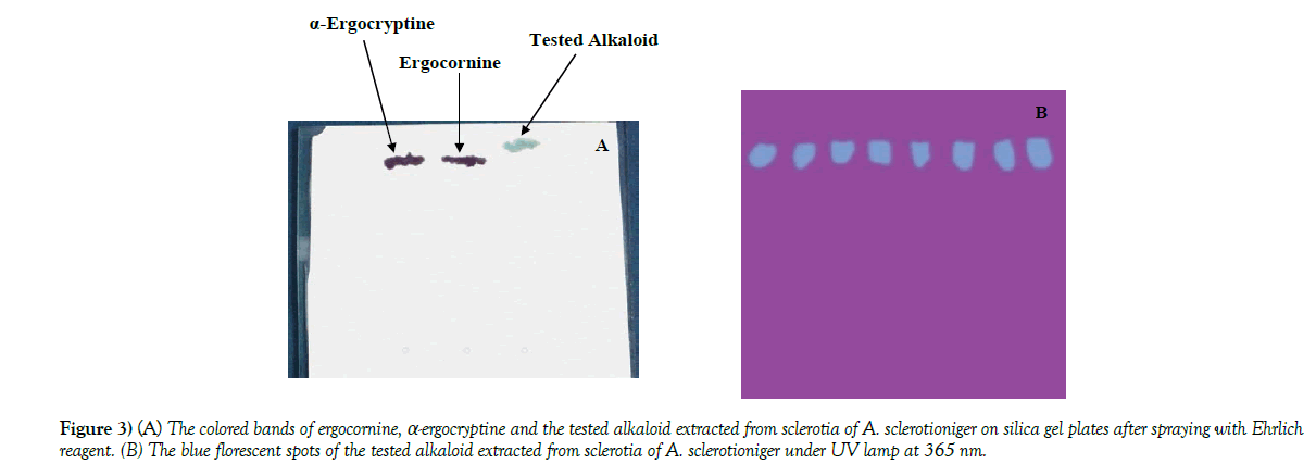 experimental-clinical-microbiology-colored-bands