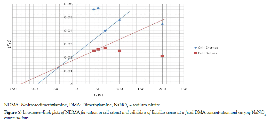 food-clinical-nutrition-lineweaver-burk-plots