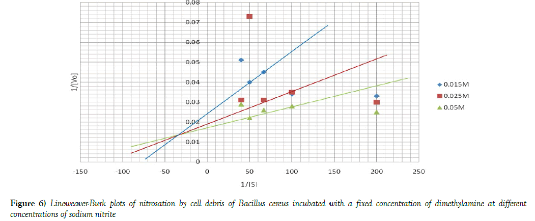 food-clinical-nutrition-lineweaver-burk-plots