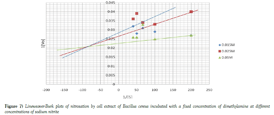 food-clinical-nutrition-lineweaver-burk-plots