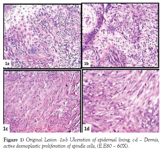 histology-histopathology-research-epidermal-lining