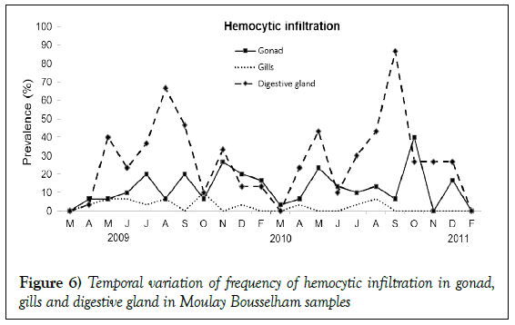 histology-histopathology-research-hemocytic-infiltration