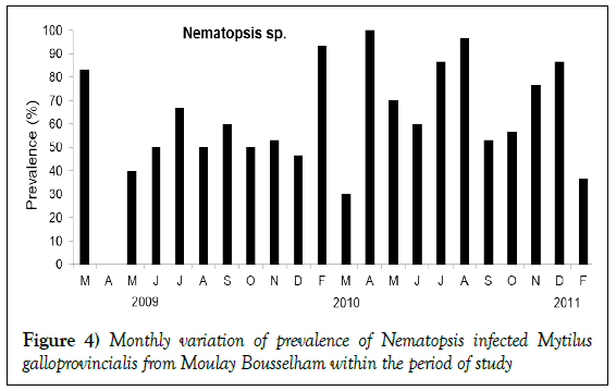 histology-histopathology-research-nematopsis-infected