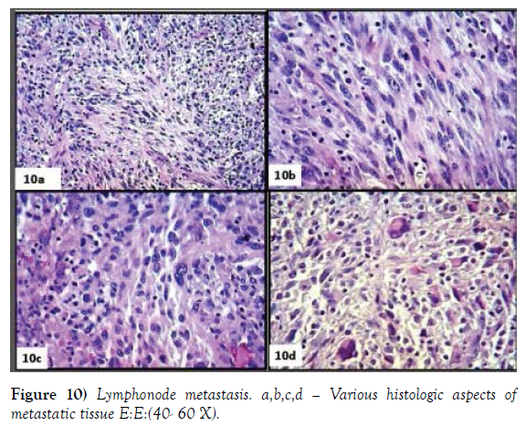 histology-histopathology-research-various-histologic