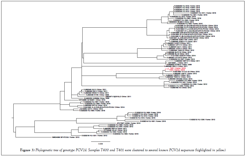 immune-disorders-therapy-phylogenetic