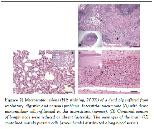 immune-disorders-therapy-respiratory