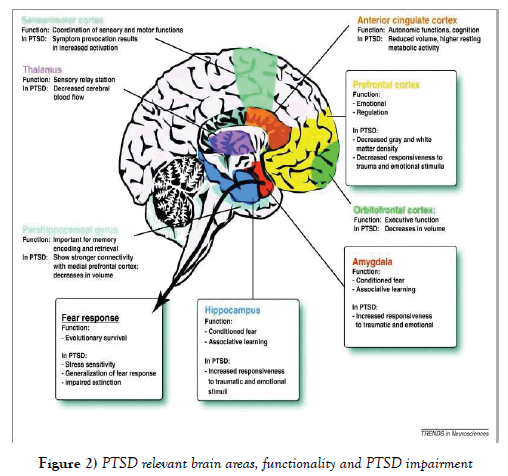 integrative-medicine-PTSD-relevant-brain-areas