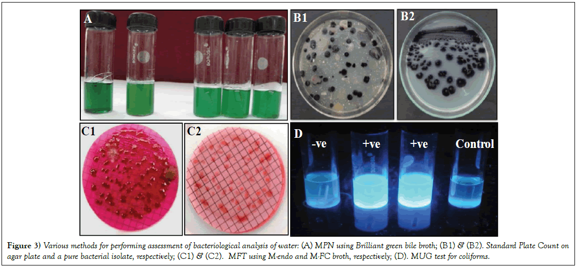 journal-environmental-microbiology-bacteriological-analysis
