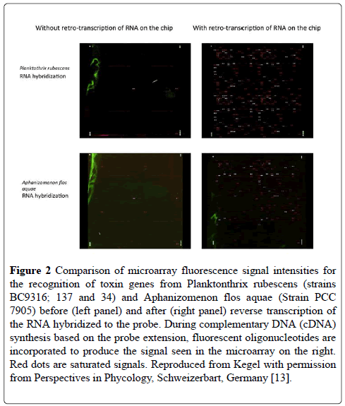 journal-environmental-microbiology-microarray-fluorescence