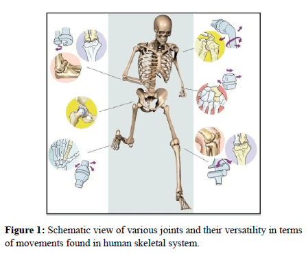 journal-material-science-engineering-applications-terms-movements