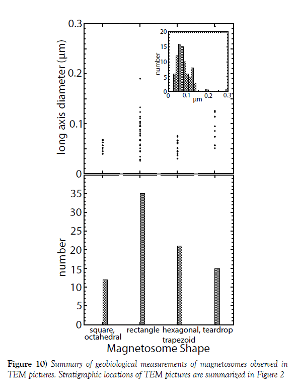 marine-microbiology-Stratigraphic-locations